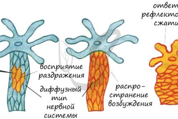 Kra35.at