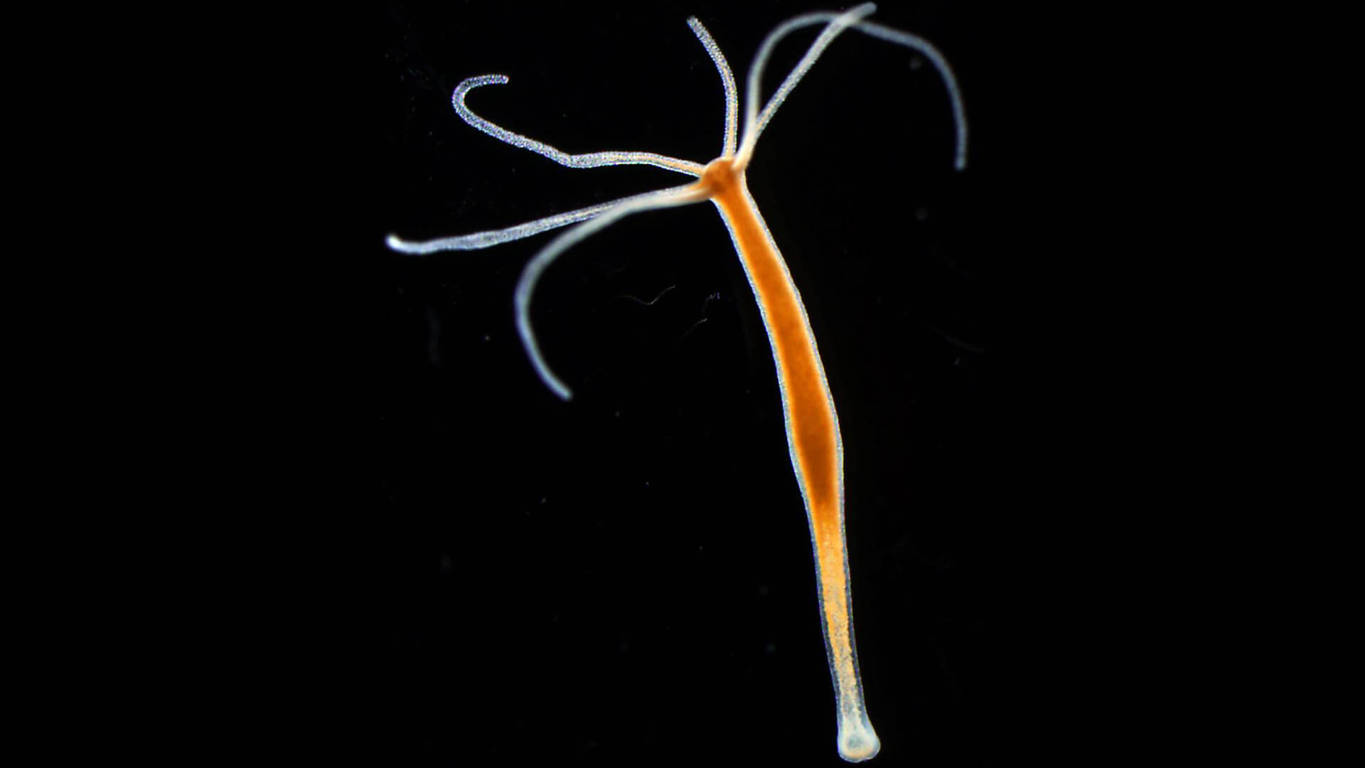 Как войти в кракен