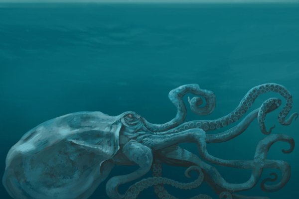Кракен магазин kraken014 com